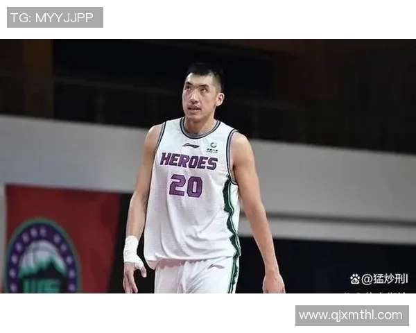 陶汉林：从篮球新星到国家队主力的成长之路与奋斗故事